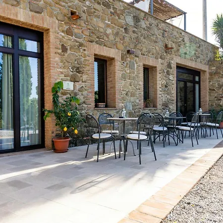 Stone Overlooking Vineyards