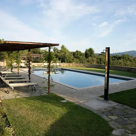 Stone Overlooking Vineyards