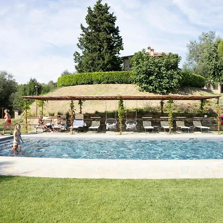Stone Overlooking Vineyards Panicale