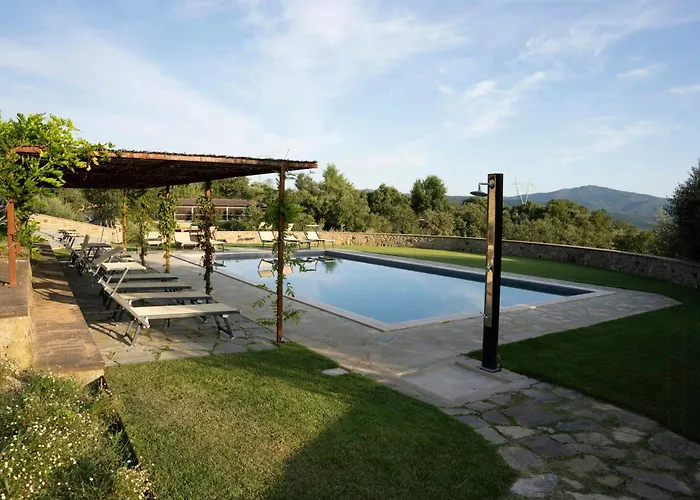 Stone Overlooking Vineyards